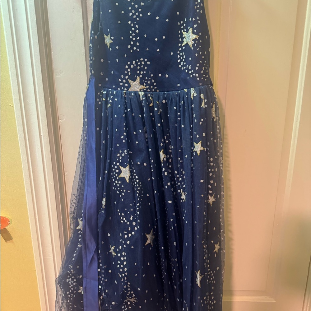 Starry Blue Dress